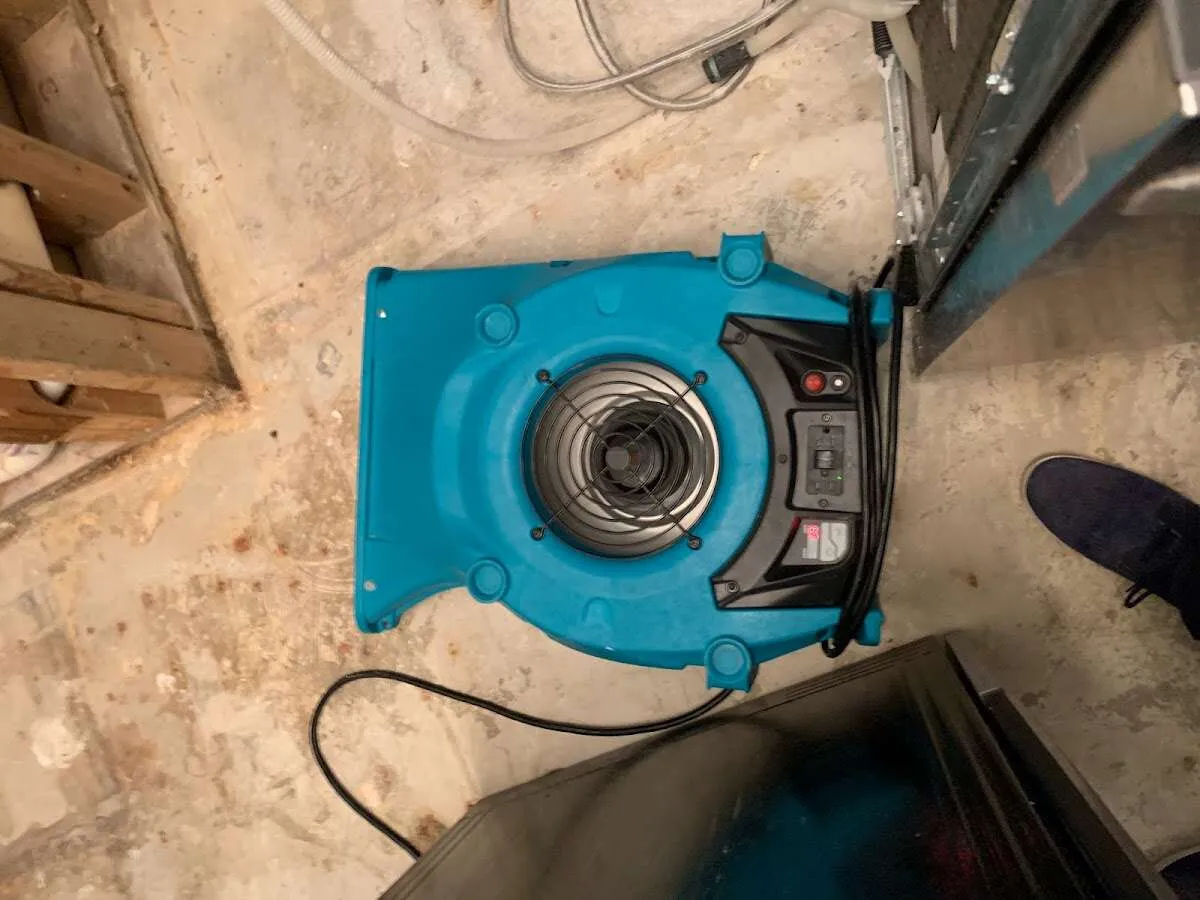 Air mover drying equipment for Mold Remediation & Removal in Wellston